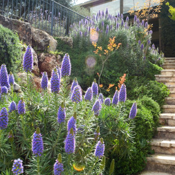 Butique hotel - Tamarin garden