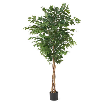 Wasco Artificial Ficus Tree, Green, 31.5 W X 31.5 D X 70.9 H