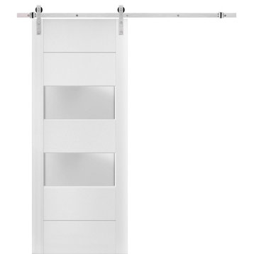 Barn Door 36 x 84 Frosted Glass, Lucia 4010 White Silk, Silver 6.6FT Rail Kit