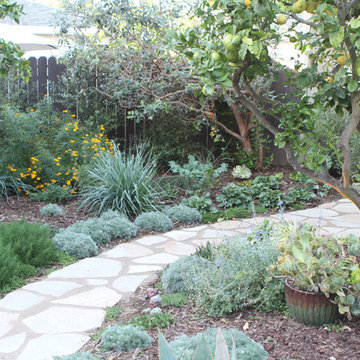 Broken concrete path to outdoor office