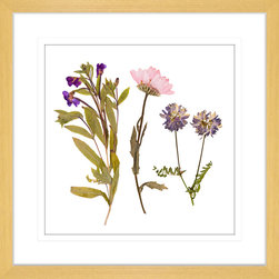 Spring Wildflowers Collection - Framed Art Prints (WILD01) - Artwork