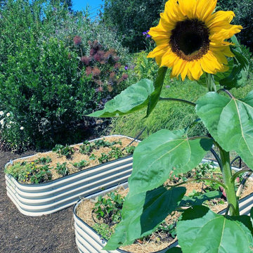 How To Choose The Best Soil For Elevated Garden Beds in 2022