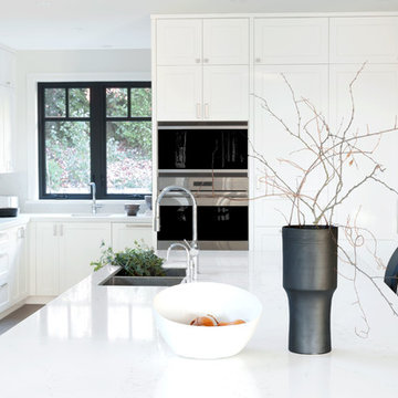 Organic Transitional Interior in Altamont
