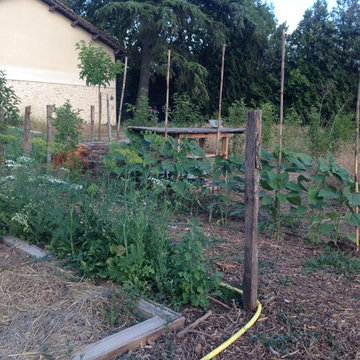Potager biologique