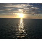 Ann Herbes's photo
