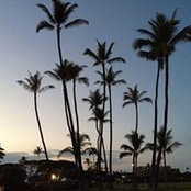 Dale Schlotzhauer's photo