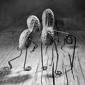 Foto von Alessandra Mac