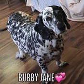 Lori Jacka's photo