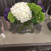 Leah Klein's photo