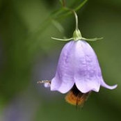 Lee Limjuco's photo