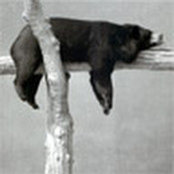 Richard Caelius's photo