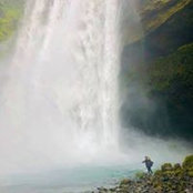 Aubrey Bee's photo