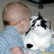 Randy Sorensen's photo