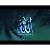 أحمد حامد's photo