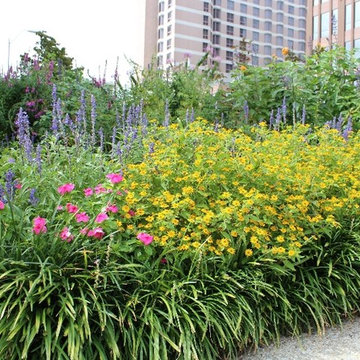 Landscape Supplies & Design