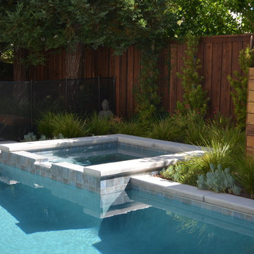 Small Modern Pool
