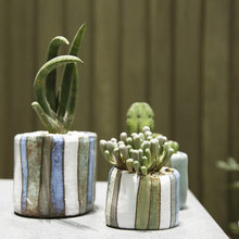 plants and containers