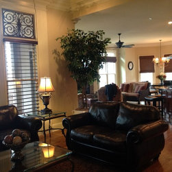Window Treatments - Window Blinds