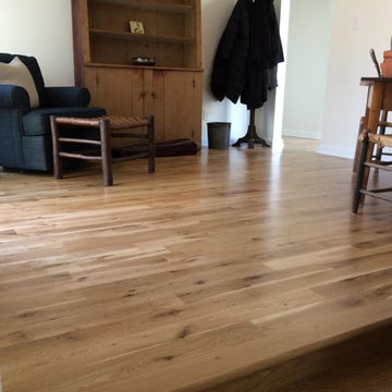 Sherwood Forest Remodel