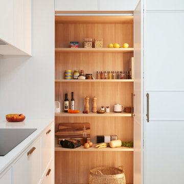 Contemporary Kitchen Pantry