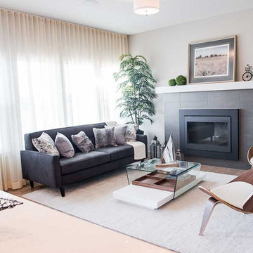 Dover by Dolce Vita Homes
