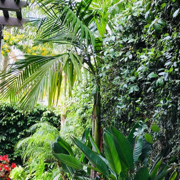 Lush Patio Garden