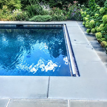 Edelman Residence