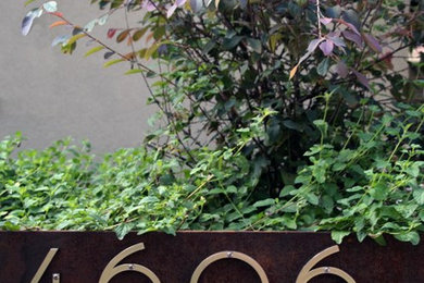 Inspiration for a modern landscaping in Austin.