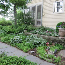 front walkway