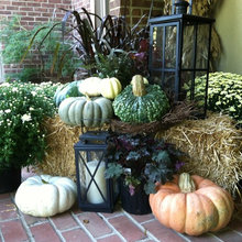 Patio Ideas