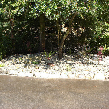 Curbside & Yard Landscaping
