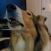 Joyce Klotz's photo