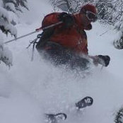 Thomas Bailly's photo