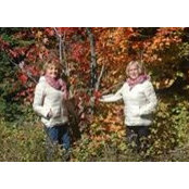 Eve Maisonneuve's photo