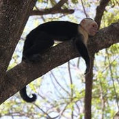 Jyl Wingert's photo