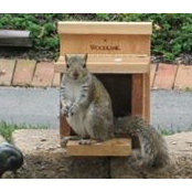 Joyce Mayernik's photo