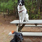 Susan Allen's photo
