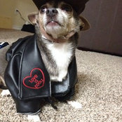 Crystal Ogburn's photo