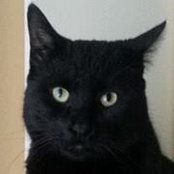 Theresa Prystanski's photo