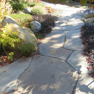 Landscape/Hardscape, Albany, CA