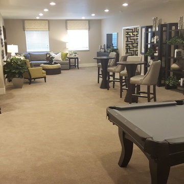 Castle Rock Basement Finish