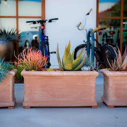 Designer Gallery - Gardening And Lawn Care