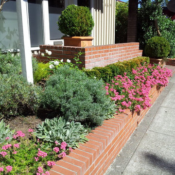 Landscape Design & Installation