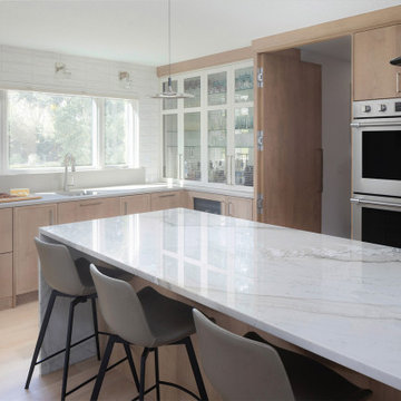 Natural Contemporary Remodel
