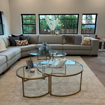 Transitional | Family Room