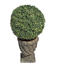 Indoor & Outdoor Plants