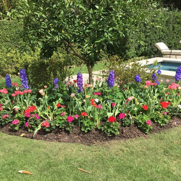 Gardens & Garden Paths