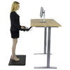 Ergonomic Desk, Metal Frame and Bamboo Top With Electric Adjustable Height