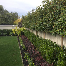 New Garden
