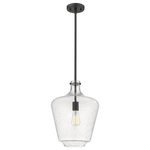 Innovations Lighting - Innovations Lighting 493-1S-BK-G504-12 Lowell, 1 Light Mini Pendant Industri - Innovations Lighting Lowell 1 Light 12 inch BrusheLowell 1 Light Mini  Matte BlackUL: Suitable for damp locations Energy Star Qualified: n/a ADA Certified: n/a  *Number of Lights: 1-*Wattage:100w Incandescent bulb(s) *Bulb Included:No *Bulb Type:Incandescent *Finish Type:Matte Black